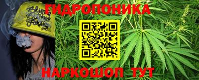apvp Кунгур
