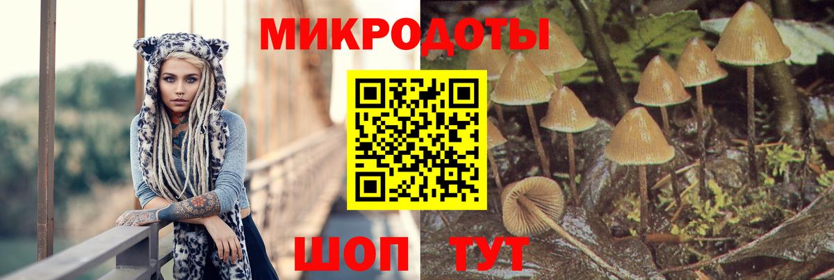 Галлюциногенные грибы GOLDEN TEACHER Ейск